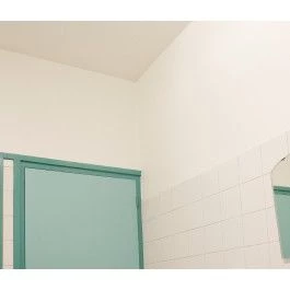 Farba antykondensacyjna odporna na wilgoć, pleśń i grzyb - Rust Oleum RO5090