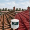 paint for asbestos cement, concrete, ceramic and cement roof tiles