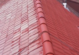 Jaką farbę na dach wybrać? Poradnik zakupowy